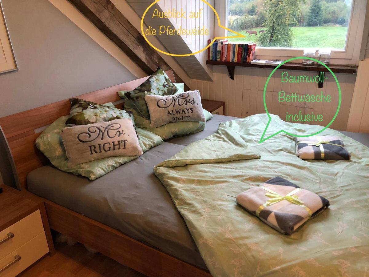 Hof Vierzehnender Im Hohen Venn - 70Qm Fachwerk-Studio - Grosses Wohn-Schlafzimmer Mit Dachterrasse Und Kaminofen - Separate Kueche - Perfekt Fuer Paare - Monschau - Eifel - Hunde Willkommen - Islandpferde Extérieur photo