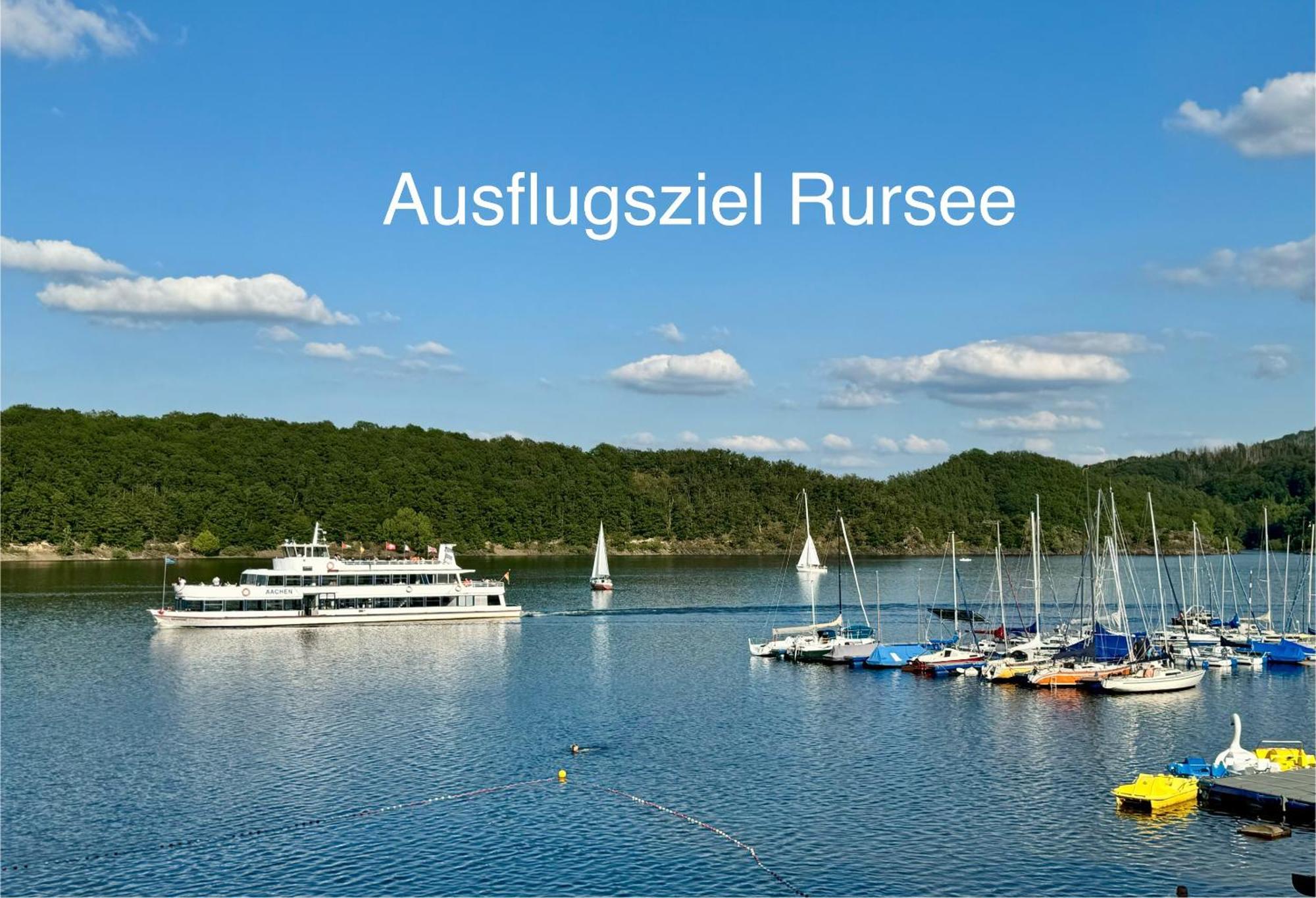 Hof Vierzehnender Im Hohen Venn - 70Qm Fachwerk-Studio - Grosses Wohn-Schlafzimmer Mit Dachterrasse Und Kaminofen - Separate Kueche - Perfekt Fuer Paare - Monschau - Eifel - Hunde Willkommen - Islandpferde Extérieur photo