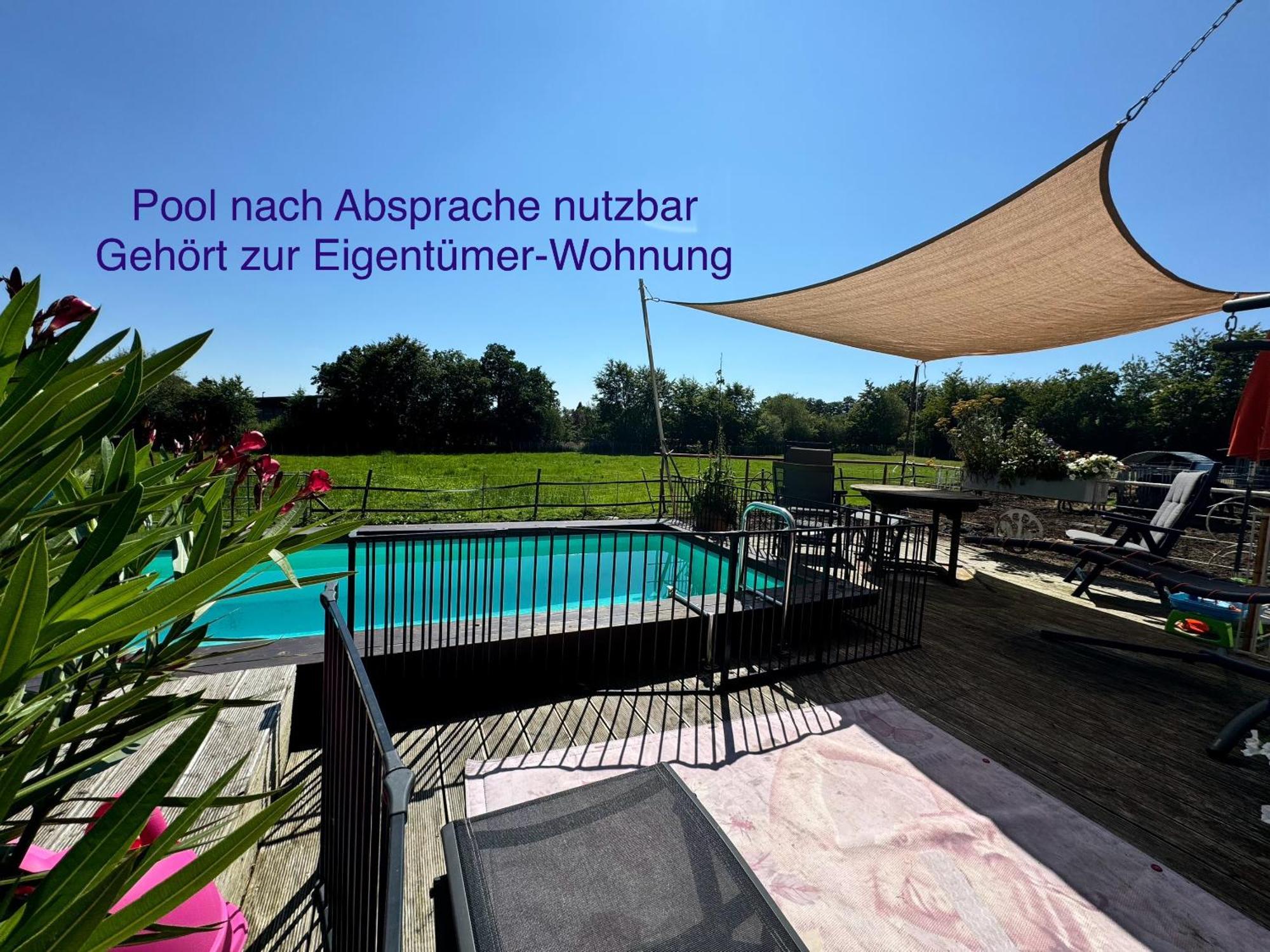 Hof Vierzehnender Im Hohen Venn - 70Qm Fachwerk-Studio - Grosses Wohn-Schlafzimmer Mit Dachterrasse Und Kaminofen - Separate Kueche - Perfekt Fuer Paare - Monschau - Eifel - Hunde Willkommen - Islandpferde Extérieur photo