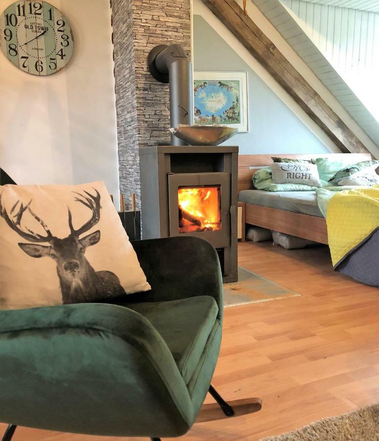 Hof Vierzehnender Im Hohen Venn - 70Qm Fachwerk-Studio - Grosses Wohn-Schlafzimmer Mit Dachterrasse Und Kaminofen - Separate Kueche - Perfekt Fuer Paare - Monschau - Eifel - Hunde Willkommen - Islandpferde Extérieur photo